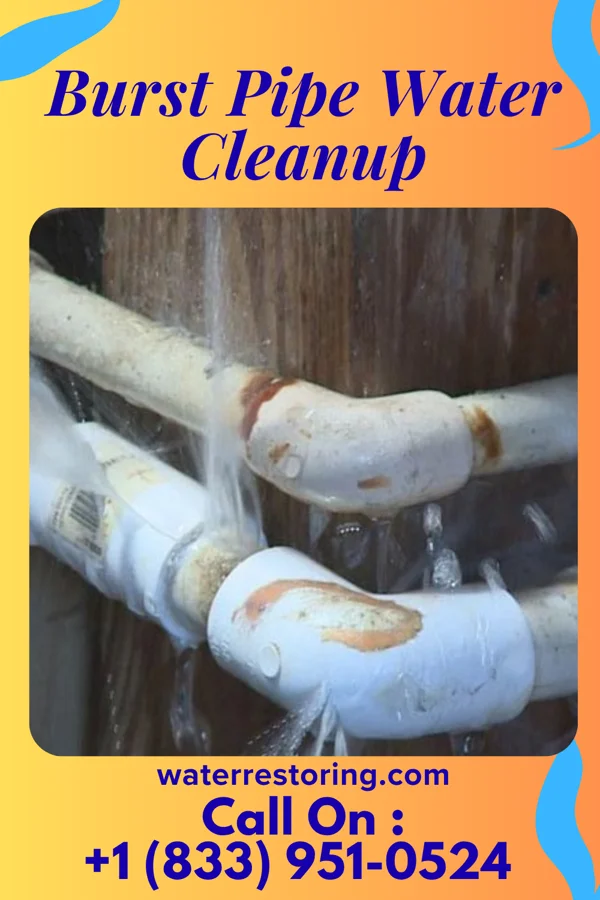 Burst Pipe Water Cleanup in Makakilo, HI