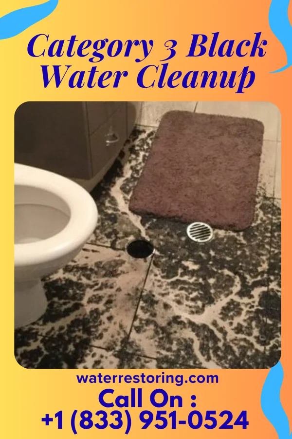Category 3 Black Water Cleanup in Makakilo, HI