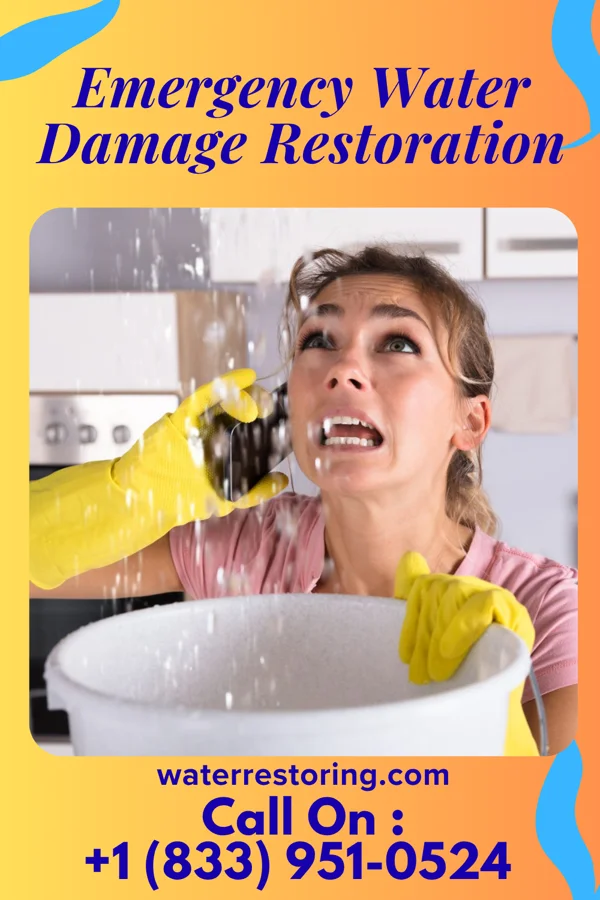 Emergency Water Damage Restoration in Makakilo, HI