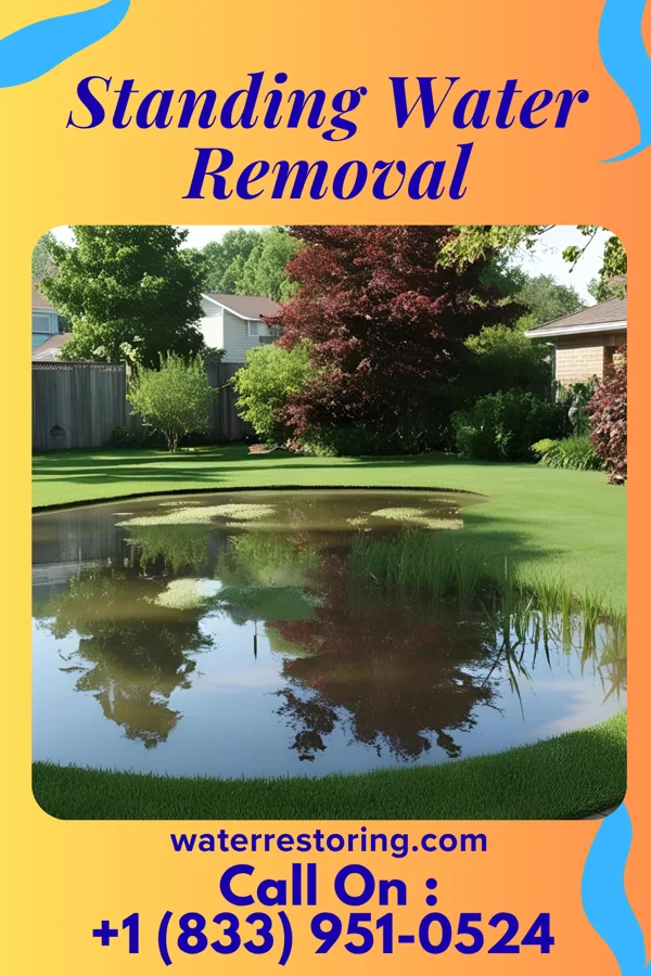 Standing Water Removal in Makakilo, HI